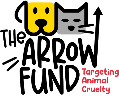 the-arrow-fund-logo